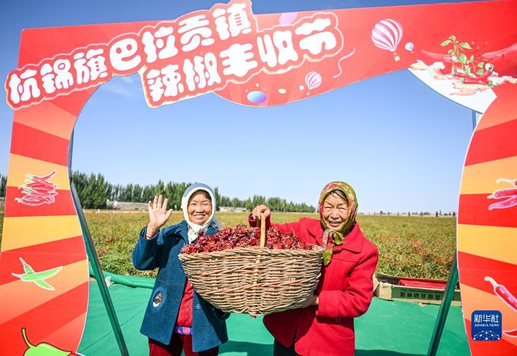 白菜网大全最新